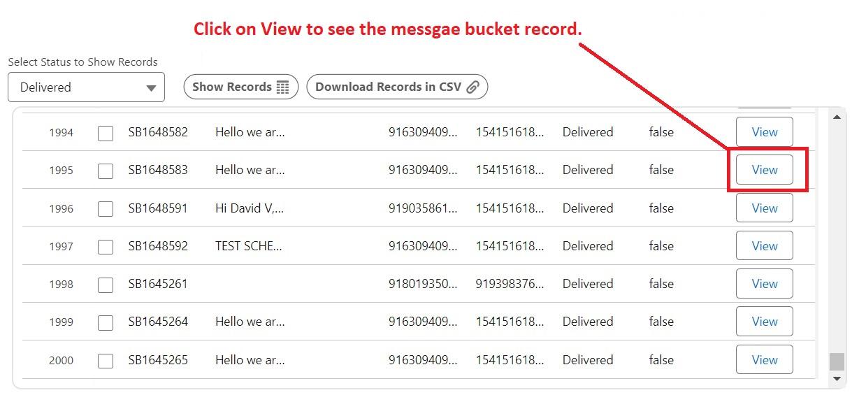 A Workflow Schedule record list with the View button on row 1995 highlighted, used to open that record's message bucket.