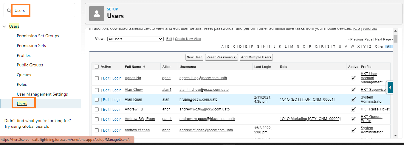 Salesforce Setup Users list view, with Users highlighted in the left-hand Setup menu and the list of user records shown on the right.