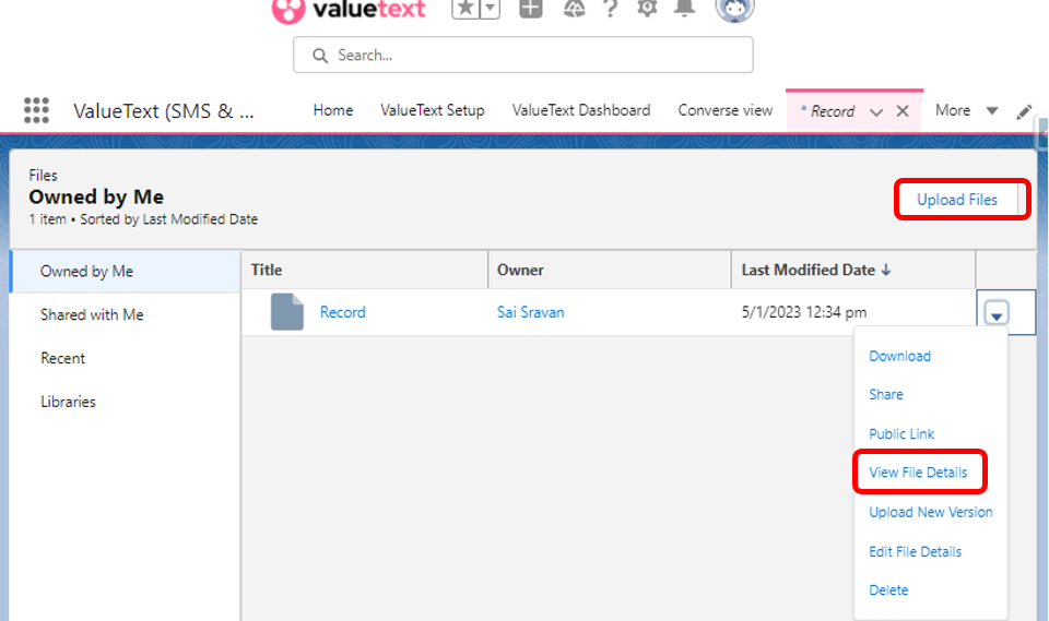 Files list view with the row-level dropdown open on the Record file, showing Download, Share, Public Link, View File Details, Upload New Version, Edit File Details, and Delete, with View File Details highlighted.